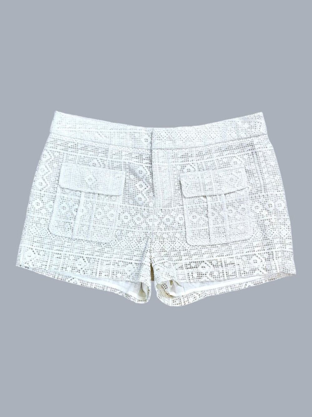 Joie Shorts High Rise Lace Ivory (8)
